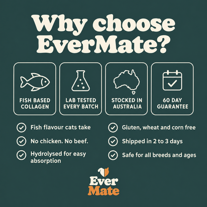 EverMate® Liquid Collagen for Cats
