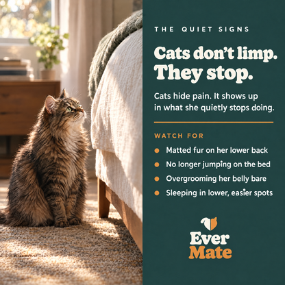 EverMate® Liquid Collagen for Cats