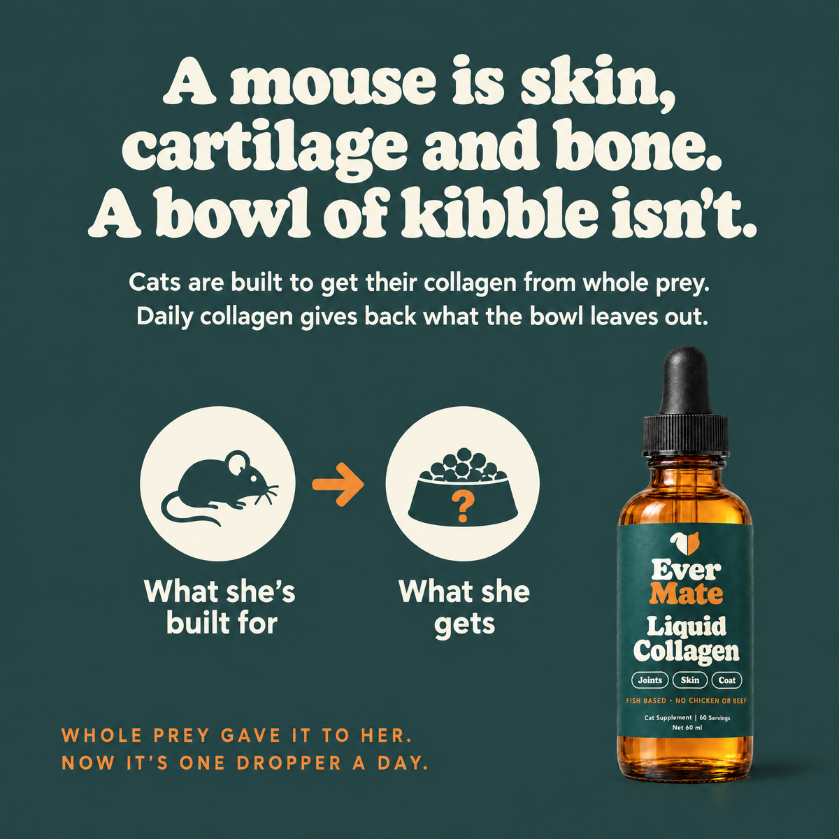 EverMate® Liquid Collagen for Cats