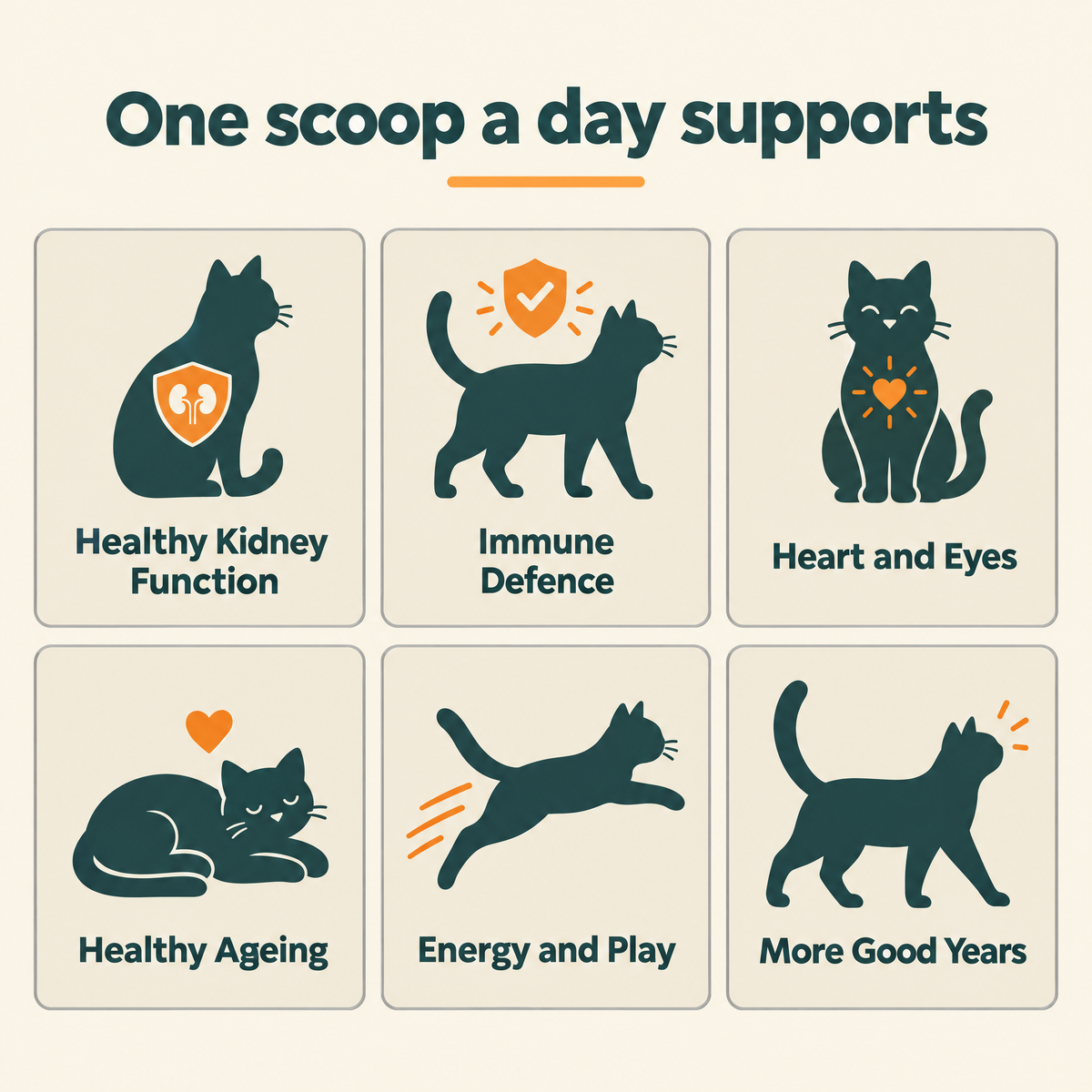 EverMate® Kidney & Immune Support for Cats