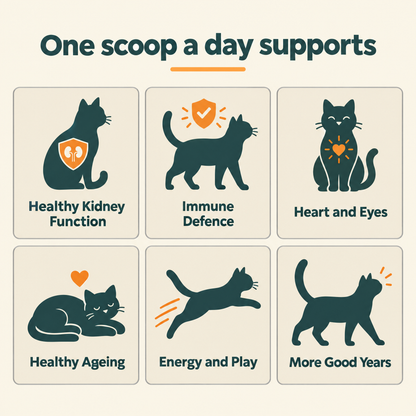 EverMate® Kidney & Immune Support for Cats