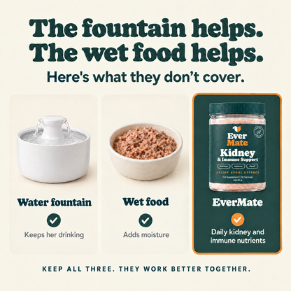 EverMate® Kidney & Immune Support for Cats