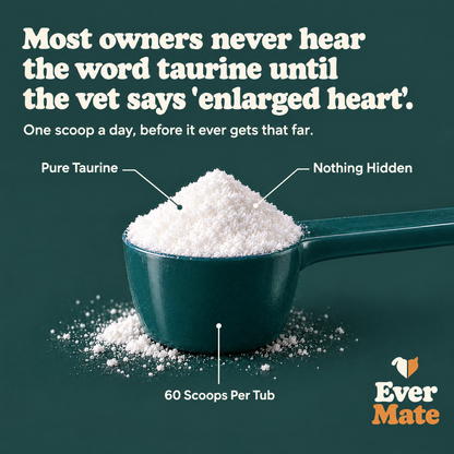 EverMate® Taurine for Dogs - 60 servings
