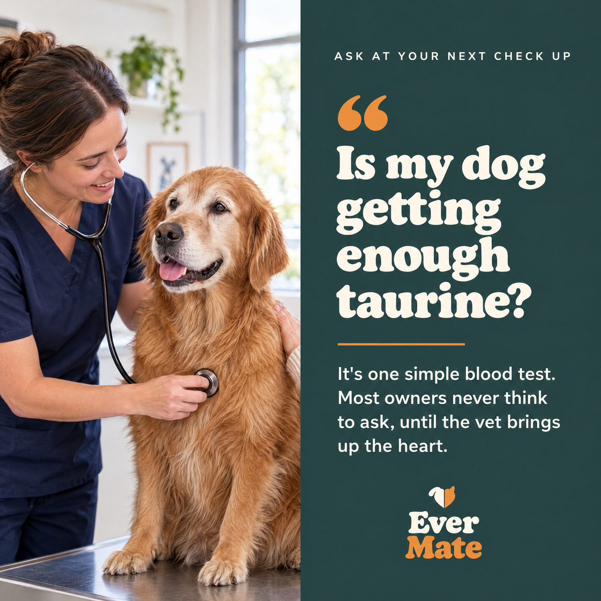 EverMate® Taurine for Dogs - 60 servings