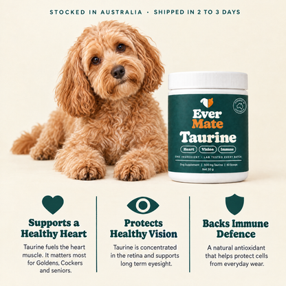 EverMate® Taurine for Dogs - 60 servings