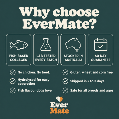 EverMate® Liquid Collagen for Dogs