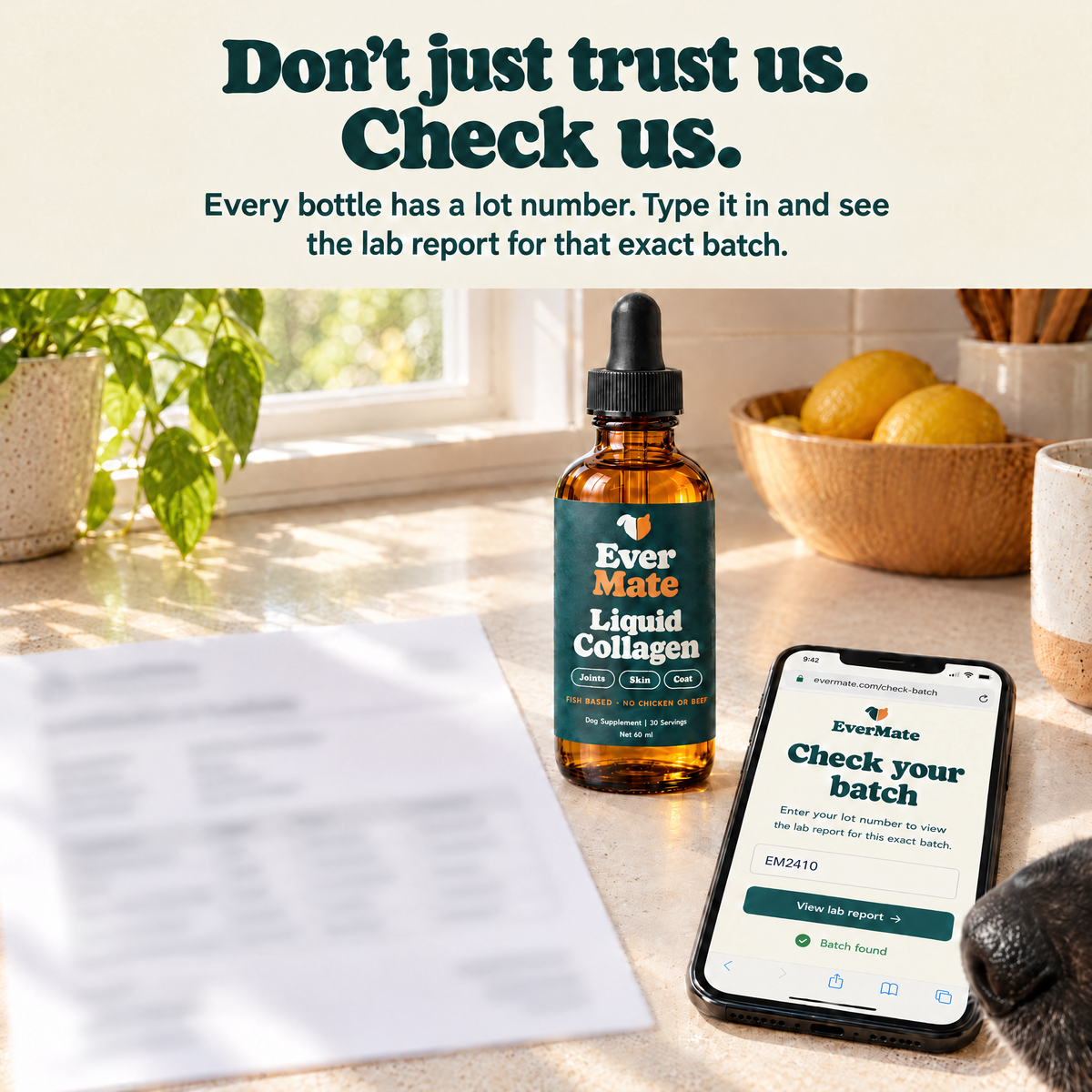 EverMate® Liquid Collagen for Dogs