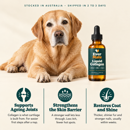 EverMate® Liquid Collagen for Dogs