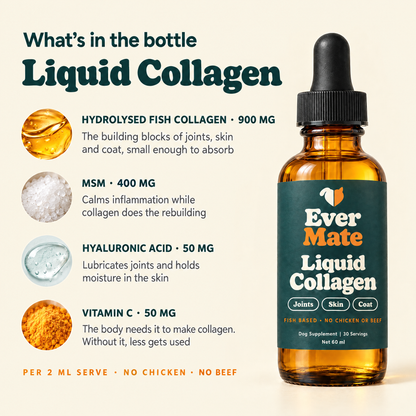 EverMate® Liquid Collagen for Dogs