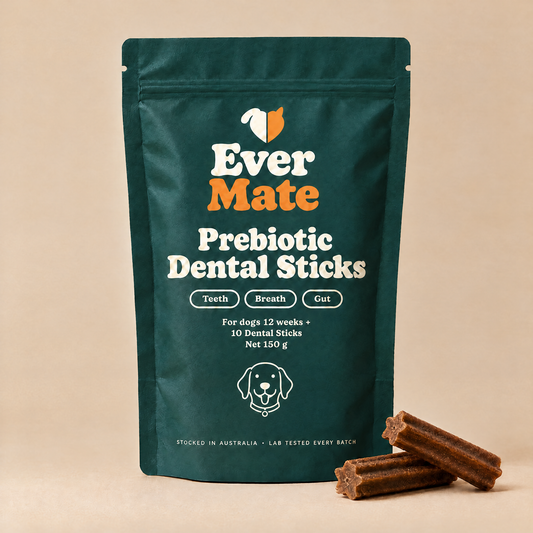 EverMate® Prebiotic Dental Sticks